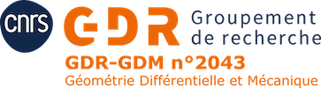 logo_cnrs_gdrgdm.png